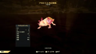 【Fallout76】アホロートル11月分が釣れる場所を紹介