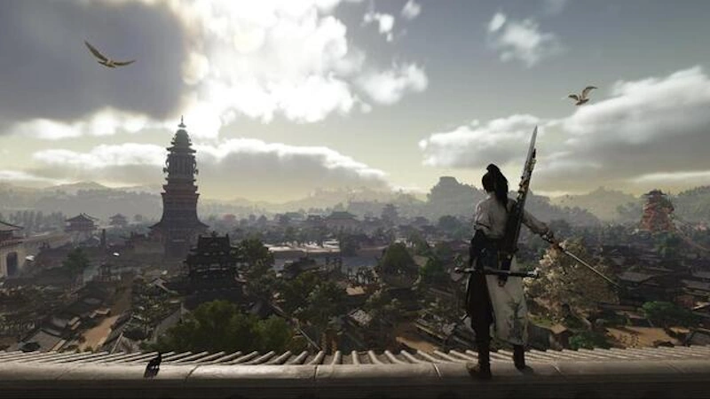 風燕伝 評価:批評家とユーザーの乖離