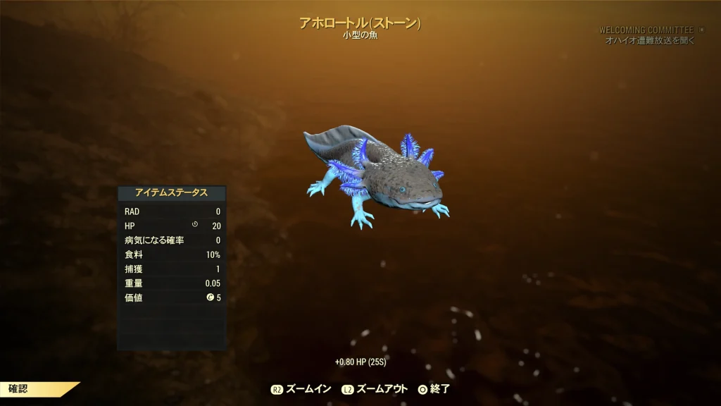 【Fallout76】アホロートル12月分が釣れる場所を紹介