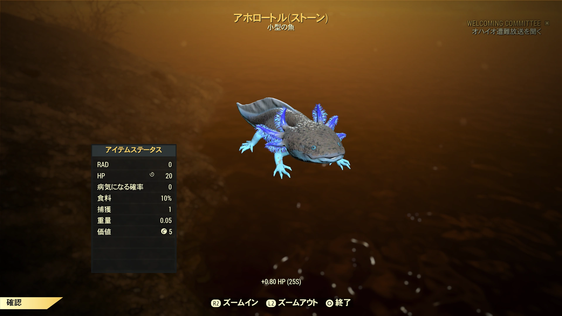 【Fallout76】アホロートル12月分が釣れる場所を紹介