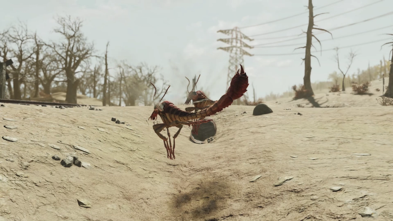 【Fallout76】腐食スティングウィング固定出現場所２選