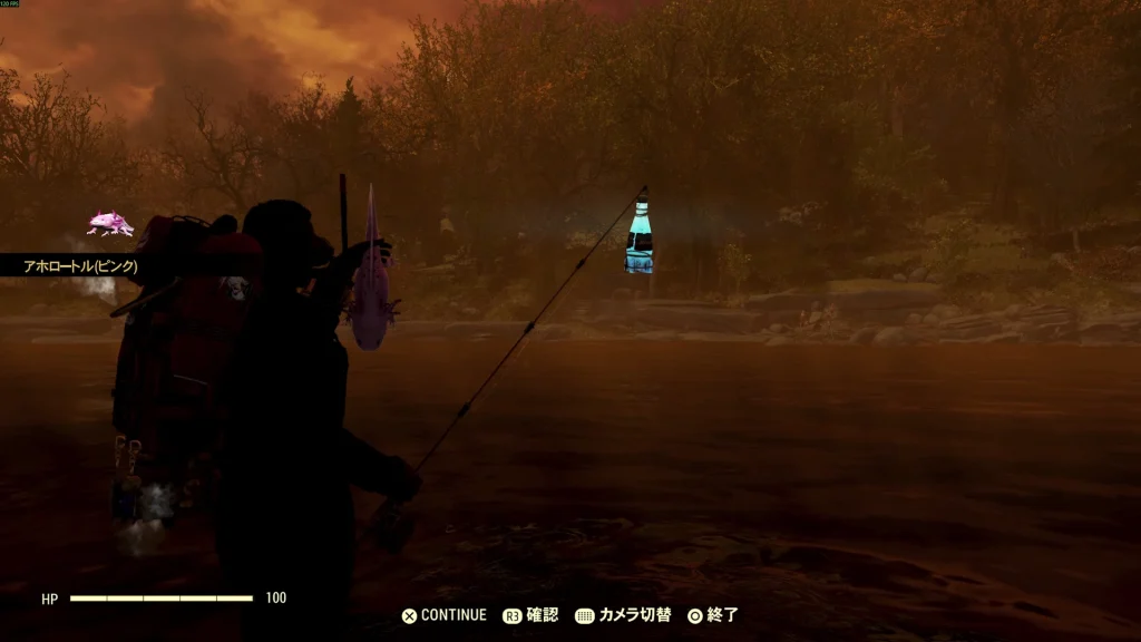 森林地帯にて天候を核に変更した上で「いい釣り餌」を使うことでアホロートル 2月分（ピンク）を釣り上げることができた。